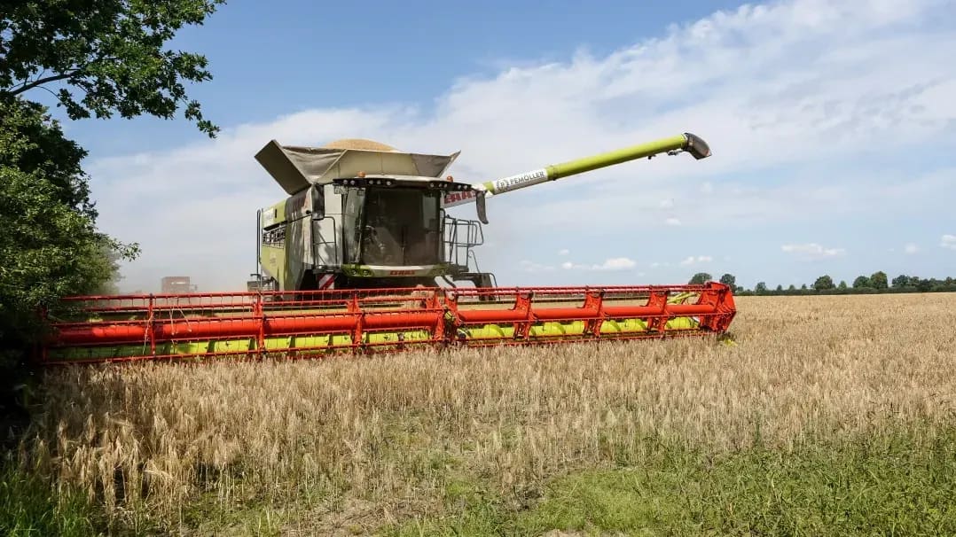 Looking After the Grain Store Before Harvest