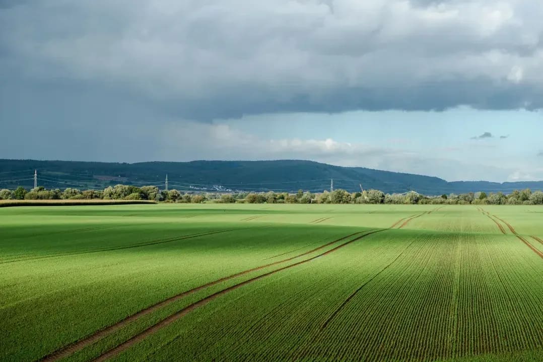 Greenfield Arable 5