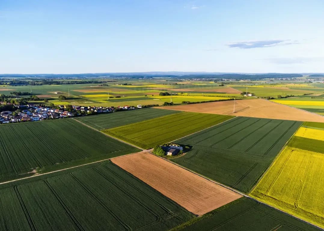 Crop planning and rotation advice