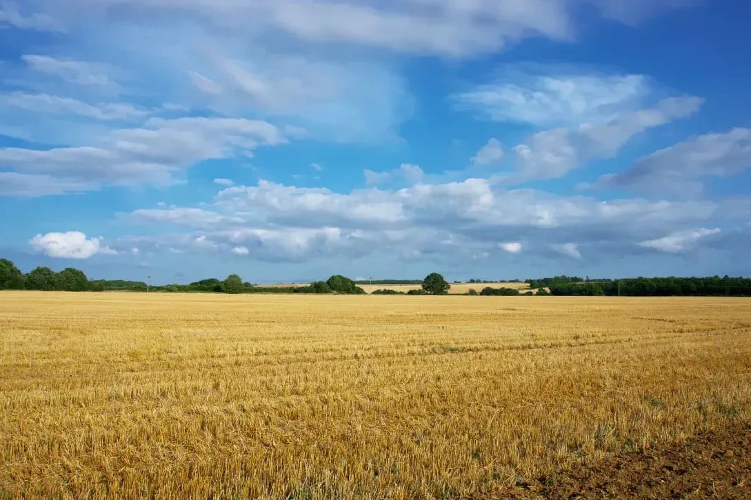 Soil analysis and nutrient management